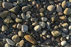 Seaside pebble texture image, from the west coast of Scotland. royalty free stock photo Seaside pebble texture image, from the west coast of Scotland. royalty free stock photo