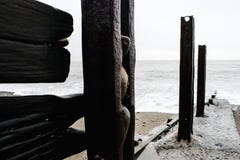 A seaside scene, wood rock stone sand royalty free stock photography A seaside scene, wood rock stone sand royalty free stock photography