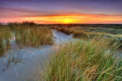 Seaside With Sand Dunes At Sunset Royalty Free Stock Photo Seaside With Sand Dunes At Sunset Royalty Free Stock Photo
