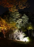 Seasonal Illuminations At Rikugien Garden Royalty Free Stock Images Seasonal Illuminations At Rikugien Garden Royalty Free Stock Images