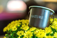Seau de vintage sur les fleurs jaunes photo stock Seau de vintage sur les fleurs jaunes photo stock