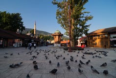 Sebilj in Sarajevo Mening bij het belangrijkste vierkant in het stadscentrum van ijahoogtepunt van Sarajevo BaÅ ¡ Ä arÅ ¡ met d royalty-vrije stock afbeeldingen Sebilj in Sarajevo Mening bij het belangrijkste vierkant in het stadscentrum van ijahoogtepunt van Sarajevo BaÅ ¡ Ä arÅ ¡ met d royalty-vrije stock afbeeldingen