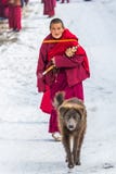 Seda, Сычуань, фарфор-повреждает 08,2016, монахи на коллеже Seda buddhish стоковые изображения rf Seda, Сычуань, фарфор-повреждает 08,2016, монахи на коллеже Seda buddhish стоковые изображения rf