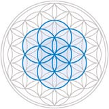 Seed Of Life In Flower Of Life