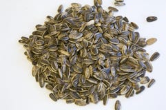 Seeds Royalty Free Stock Photo