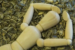 Seeds Royalty Free Stock Image