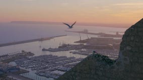 Seemöwen fliegen über den Hafen bei Sonnenuntergang in slowmotion stock footage Seemöwen fliegen über den Hafen bei Sonnenuntergang in slowmotion stock footage