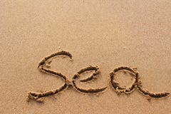 Seewort handgeschrieben auf dem Sand stockbilder Seewort handgeschrieben auf dem Sand stockbilder
