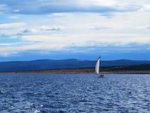 Segling på det Nord Adriatiskt havet arkivfoton Segling på det Nord Adriatiskt havet arkivfoton