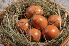 Seis ovos que encontram-se em um feno em uma cesta foto de stock Seis ovos que encontram-se em um feno em uma cesta foto de stock
