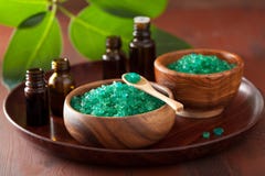 Sel de fines herbes vert et huiles essentielles pour le bain sain de station thermale images stock Sel de fines herbes vert et huiles essentielles pour le bain sain de station thermale images stock