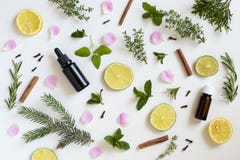 Selection of essential oils and herbs on a white background Stock Images Selection of essential oils and herbs on a white background Stock Images