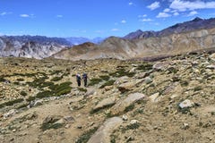 Selektiv fokus av det härliga färgrika landskapet med två turister efter det Markha dalspåret i Himalayas, Ladakh, Indien fotografering för bildbyråer Selektiv fokus av det härliga färgrika landskapet med två turister efter det Markha dalspåret i Himalayas, Ladakh, Indien fotografering för bildbyråer