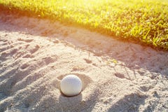 Selektiv fokus av vit golfboll på det gröna fältet och sanden b arkivfoto Selektiv fokus av vit golfboll på det gröna fältet och sanden b arkivfoto