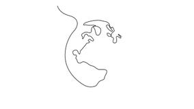 Self Drawing Simple Animation Of One Line Drawing Of Earth Globe Drawing By Hand Black Lines On A White Background Stock Footage Video Of Minimal Linear