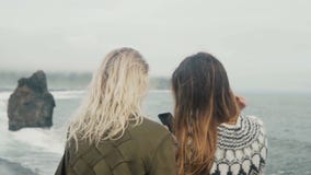 Δύο ευτυχείς γυναίκες που παίρνουν selfie τις φωτογραφίες στο smartphone, κορίτσια που ξοδεύουν το χρόνο στην παραλία κοντά στα t απόθεμα βίντεο Δύο ευτυχείς γυναίκες που παίρνουν selfie τις φωτογραφίες στο smartphone, κορίτσια που ξοδεύουν το χρόνο στην παραλία κοντά στα t απόθεμα βίντεο