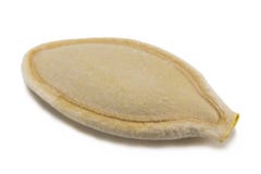 Semi di zucca o pepitas, isolati su fondo bianco ambientale Fotografie Stock Libere da Diritti Semi di zucca o pepitas, isolati su fondo bianco ambientale Fotografie Stock Libere da Diritti