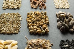 Semi organici della pianta per la piantatura nella terra, fondo nero immagini stock Semi organici della pianta per la piantatura nella terra, fondo nero immagini stock