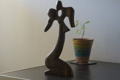 Sempre verde, crescente sempre immagine stock Sempre verde, crescente sempre immagine stock