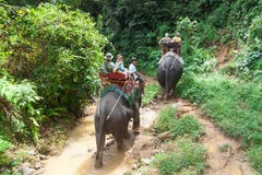 Senderismo del elefante en el parque nacional de Khao Sok fotos de archivo libres de regalías Senderismo del elefante en el parque nacional de Khao Sok fotos de archivo libres de regalías