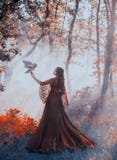 Senhora misteriosa no vestido luxuoso vermelho lindo de Borgonha e suportes encaracolados do cabelo escuro na floresta nevoenta g fotografia de stock Senhora misteriosa no vestido luxuoso vermelho lindo de Borgonha e suportes encaracolados do cabelo escuro na floresta nevoenta g fotografia de stock
