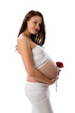 Senhora triguenha grávida bonita no backgrou branco imagens de stock Senhora triguenha grávida bonita no backgrou branco imagens de stock
