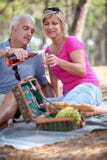 Senior couple having a picnic Royalty Free Stock Photos Senior couple having a picnic Royalty Free Stock Photos