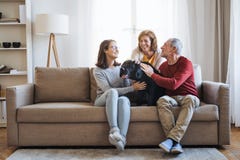 A senior couple with a teenage girl sitting on a sofa with dog at home. royalty free stock photos A senior couple with a teenage girl sitting on a sofa with dog at home. royalty free stock photos