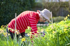 Senior elderly person active lifestyle in garden during bright colourful spring sunshine and summer temperature royalty free stock photo Senior elderly person active lifestyle in garden during bright colourful spring sunshine and summer temperature royalty free stock photo