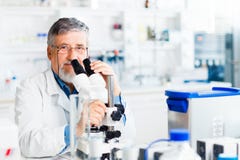 Senior Male Researcher In A Lab Royalty Free Stock Image Senior Male Researcher In A Lab Royalty Free Stock Image