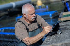 Senior man managing fish farm Royalty Free Stock Photography Senior man managing fish farm Royalty Free Stock Photography