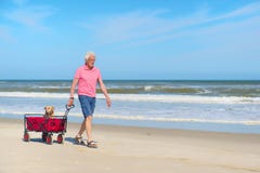 Senior man walking with dog at beach stock images Senior man walking with dog at beach stock images