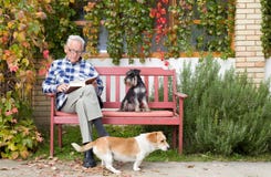Senior Man With Book And Dogs Royalty Free Stock Images Senior Man With Book And Dogs Royalty Free Stock Images