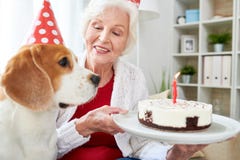 Senior Woman Holding Birthday Cake stock photos Senior Woman Holding Birthday Cake stock photos