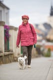 Senior woman walking her little dog on a city street royalty free stock images Senior woman walking her little dog on a city street royalty free stock images