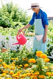 Senior Woman Watering Flowers stock image Senior Woman Watering Flowers stock image