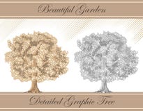 Sepia gráfico detalhado e lápis da árvore ilustração do vetor Sepia gráfico detalhado e lápis da árvore ilustração do vetor