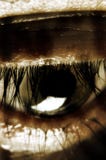 sepia vision στοκ εικόνα με δικαίωμα ελεύθερης χρήσης sepia vision στοκ εικόνα με δικαίωμα ελεύθερης χρήσης