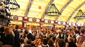17 september, 2017 - Oktoberfest, München, Duitsland: De mensen drinken, zingen, vieren hebben pret in een biertent in Oktoberfes stock video 17 september, 2017 - Oktoberfest, München, Duitsland: De mensen drinken, zingen, vieren hebben pret in een biertent in Oktoberfes stock video