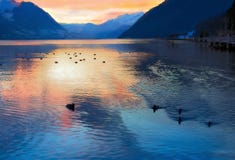Sera nel lago svizzero, Svizzera fotografia stock Sera nel lago svizzero, Svizzera fotografia stock