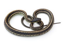 Serpiente de liga Serpiente de liga
