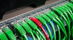 Serverkuggen med grön och röd internetlappkabel kablar royaltyfri bild Serverkuggen med grön och röd internetlappkabel kablar royaltyfri bild