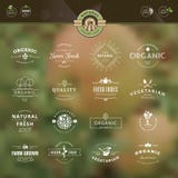 Set of badges and labels for organic food and drin vector illustration Set of badges and labels for organic food and drin vector illustration