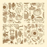 Set bezszwowi wzory jesień elementy handmade natura Elementy projekt dla dziękczynienia i uczta jesień ilustracji Set bezszwowi wzory jesień elementy handmade natura Elementy projekt dla dziękczynienia i uczta jesień ilustracji