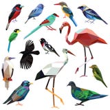 Set of birds vector illustration Set of birds vector illustration