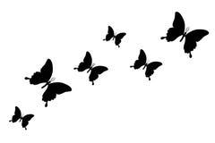 Download Set Of Flying Butterfly Silhouette, Isolated Vector Stock ...