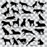 A set of black silhouettes of dogs on a transparent background. Set of vector illustrations stock illustration A set of black silhouettes of dogs on a transparent background. Set of vector illustrations stock illustration