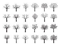 Set Black Trees with Leaves. Vector Illustration. Plant and garden. Set of Black Trees with Leaves. Vector Illustration vector illustration Set Black Trees with Leaves. Vector Illustration. Plant and garden. Set of Black Trees with Leaves. Vector Illustration vector illustration