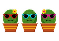 Set of cactus with sunglasses. Vector illustration vector illustration Set of cactus with sunglasses. Vector illustration vector illustration