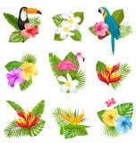 Set Composition With Tropical Flowers, Exotic Bird And Plants Royalty Free Stock Images